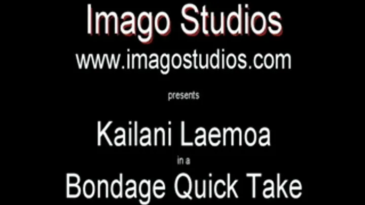 QT0077 Kailani Laemoa (is-qt-kl004)