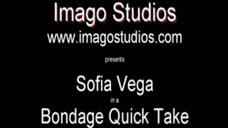 QT0044 Sofia Vega (is-qt-sv003)