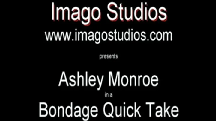 QT0036 Ashley Monroe (is-qt-asmo001)