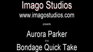 QT0045 Aurora Parker (is-qt-ap001)