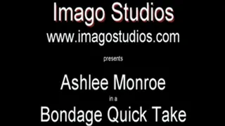 QT0050 Ashlee Monroe (is-qt-asmo002)