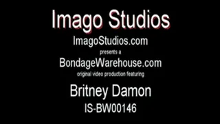 Britney Damon - Loan Officer in Trouble - IS-BW00147