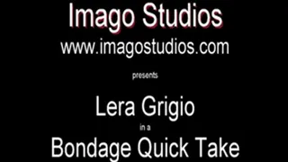 QT0385 Lera Grigio (is-qt-lg004)