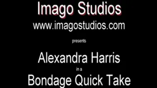 QT0403 Alexandra Harris (is-qt-ah006)