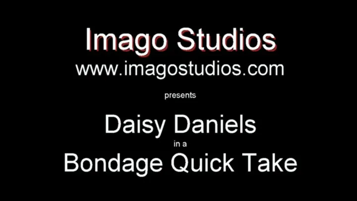 QT0361 Daisy Daniels (is-qt-dd005)