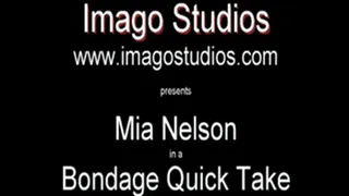 QT0360 Mia Nelson (is-qt-mn031)