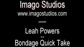 QT0362 Leah Powers (is-qt-lp016)