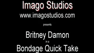 QT0365 Britney Damon (is-qt-bd022)