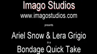 QT0370 Ariel Snow & Lera Grigio (is-qt-ariels-lg002)