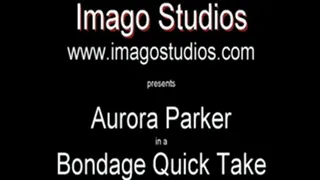 QT0376 Aurora Parker (is-qt-ap015)