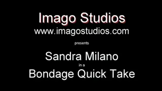 QT0310 Sandra Milano (is-qt-sandram009)