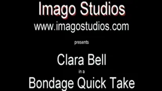 QT0314 Clara Bell (is-qt-cb005)