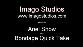 QT0316 Ariel Snow (is-qt-ariels002)