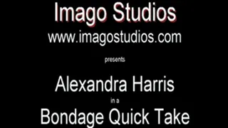 QT0325 Alexandra Harris (is-qt-ah004)