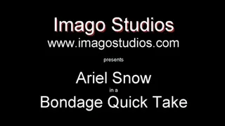QT0293 Ariel Snow (is-qt-ariels001)