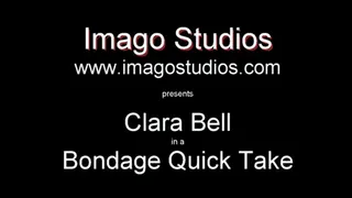 QT0299 Clara Bell (is-qt-cb004)