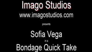 QT0345 Sofia Vega (is-qt-sv014)