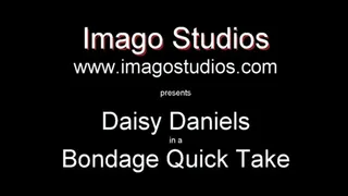 QT0348 Daisy Daniels (is-qt-dd004)