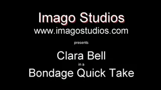 QT0356 Clara Bell (is-qt-cb008)