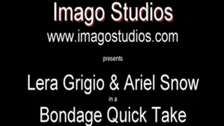 QT0328 Ariel Snow & Lera Grigio (is-qt-ariels-lg001)