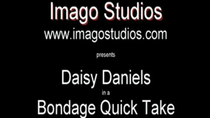 QT0326 Daisy Daniels (is-qt-dd003)