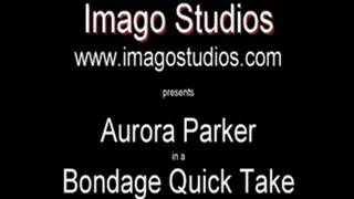 QT0250 Aurora Parker (is-qt-ap010)