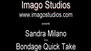 QT0253 Sandra Milano (is-qt-sandram007)