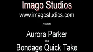 QT0258 Aurora Parker (is-qt-ap011)