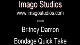 QT0259 Britney Damon (is-qt-bd016)