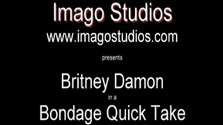 QT0236 Britney Damon (is-qt-bd014) - Format