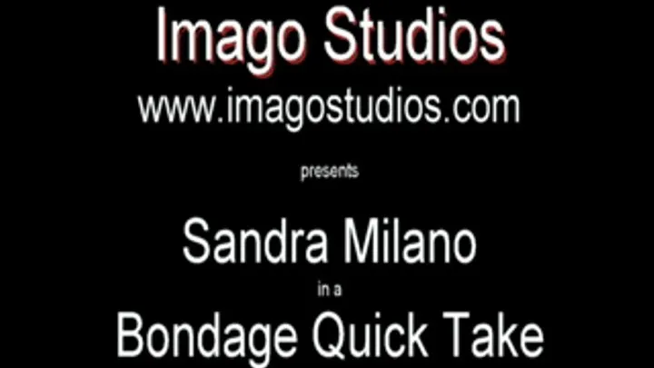 QT0232 Sandra Milano (is-qt-sandram006)
