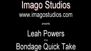 QT0242 Leah Powers (is-qt-lp007)