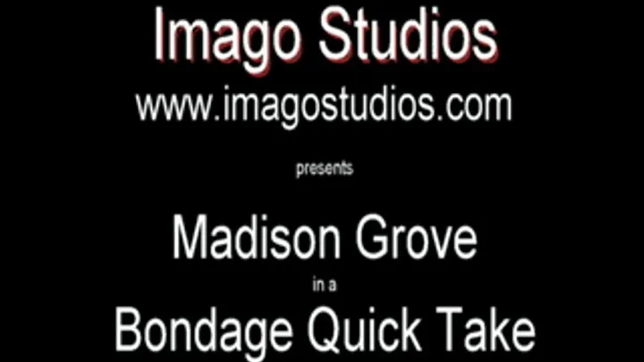 QT0241 Madison Grove (is-qt-mg007)