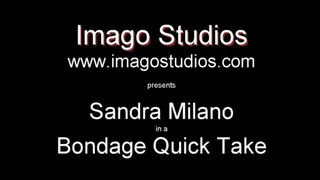 QT0284 Sandra Milano (is-qt-sandram008)