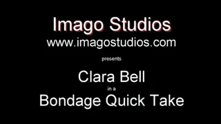 QT0286 Clara Bell (is-qt-cb003)