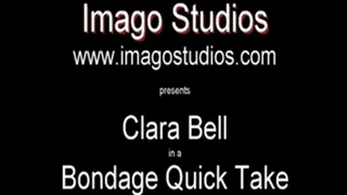 QT0263 Clara Bell (is-qt-cb002)