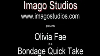 QT0270 Olivia Fae (is-qt-of005)