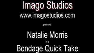 QT0274 Natalie Morris (is-qt-nm002)