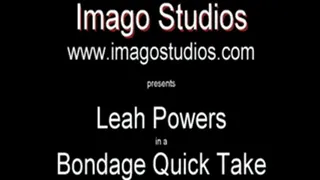 QT0272 Leah Powers (is-qt-lp009)