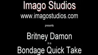 QT0181 Britney Damon (is-qt-bd010)