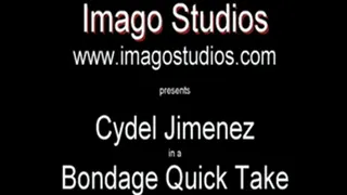 QT0187 Cydel Jimenez (is-qt-cj005)