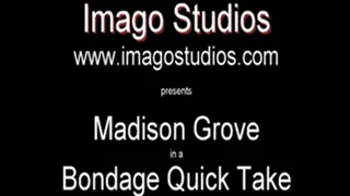 QT0164 Madison Grove (is-qt-mg006)