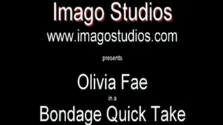 QT0176 Olivia Fae (is-qt-of004)