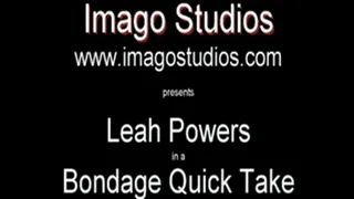 QT0204 Leah Powers (is-qt-lp005)