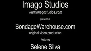 Selene Silva - Corporate Espionage - IS-BW00052