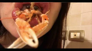 Sucking a crawfish brain