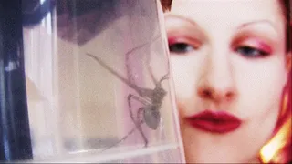 THE SPIDER AND THE GIANTESS - Amazing scary video!!