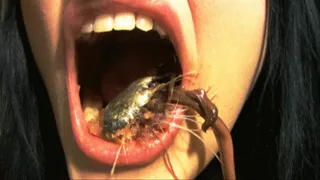 FISHEAD - DISGUSTING VORE FISH VIDEO