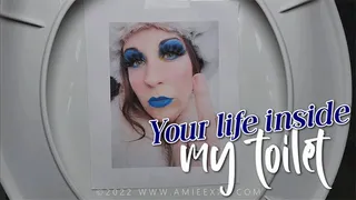 Your life inside my toilet - Madame Amiee