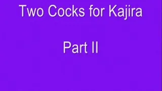 Two Cocks for Kajira Part II